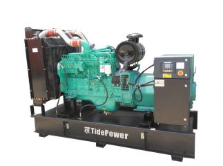 Дизельный генератор Tide Power EB250-C1 TP (6LTAA8.9-G3) в контейнере